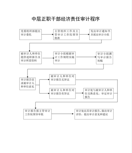 中层正职经济责任审计程序